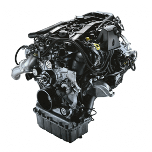 Vito 611 – FWD